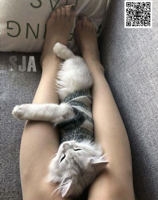 老婆电影_蓝光HD在线观看